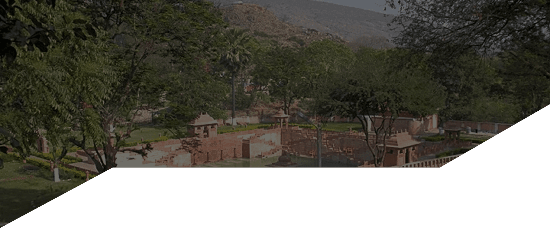 Janata Appeal Background